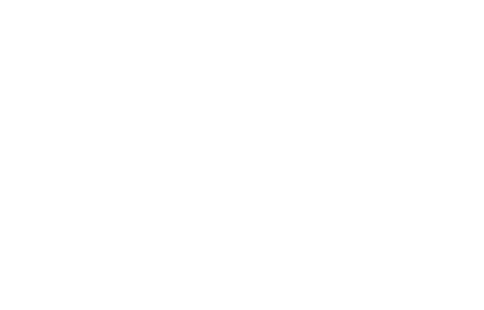 Logo de Molino Roca